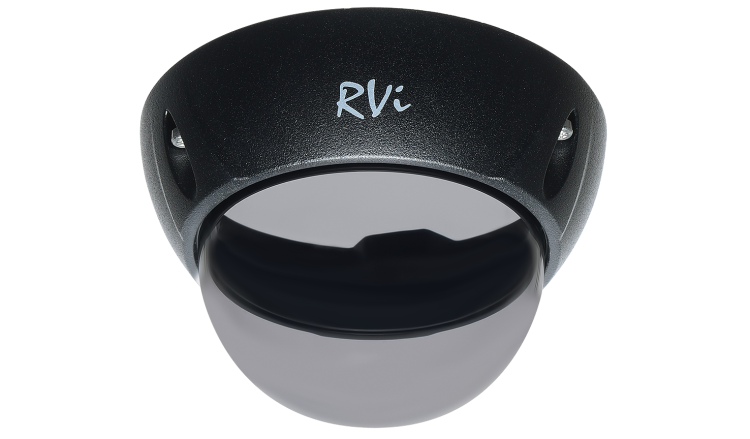 RVi-1DS2b