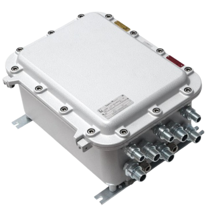 PSW-2G4F-Ex