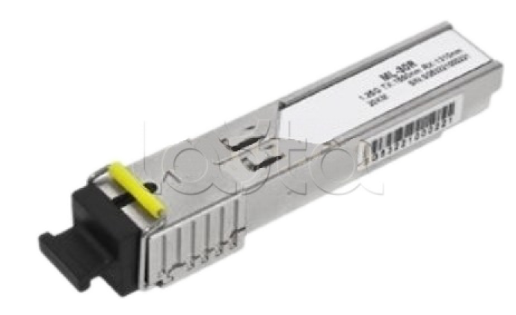 ML-S01G-20WDS-55SD